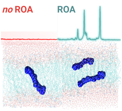Grafika prezentująca porównanie widma rezonansowej Ramanowskiej Aktywności Optycznej i widma bez tej aktywności oraz odpowiadający im układ cząsteczek karotenoidów w liposomach.